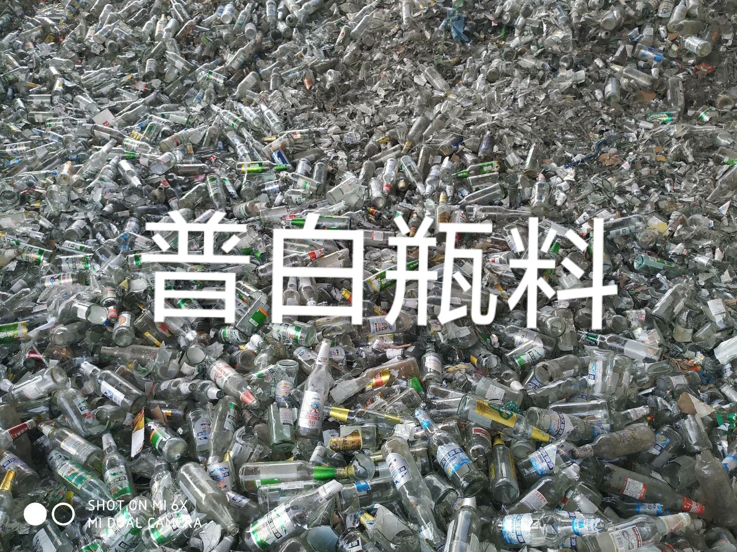 滨湖区普白瓶料回收